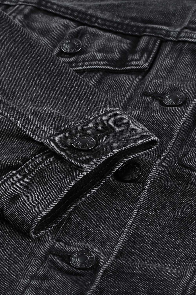 LC851298-11-10.JPG